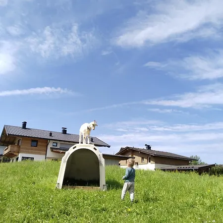 Çiftlik konaklama Maurerhof Itter