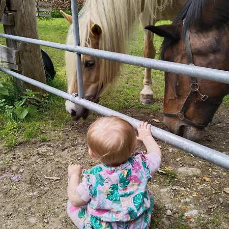 Maurerhof Çiftlik konaklama Itter