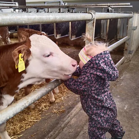 Çiftlik konaklama Maurerhof Itter