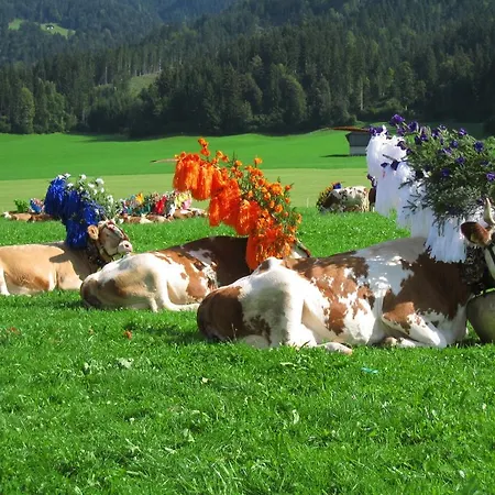 Farmház Maurerhof Itter