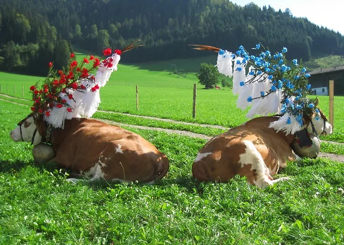 Alloggio per agriturismo Maurerhof *