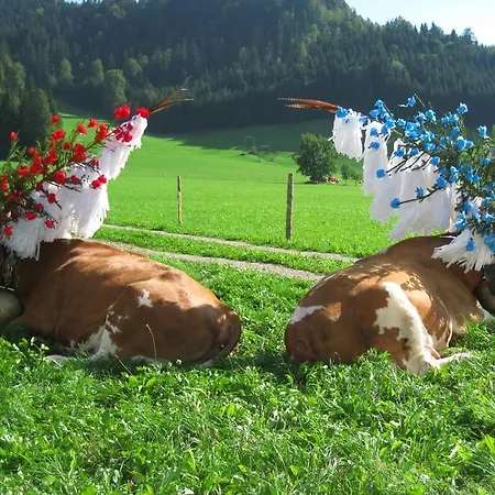 Alloggio per agriturismo Maurerhof *