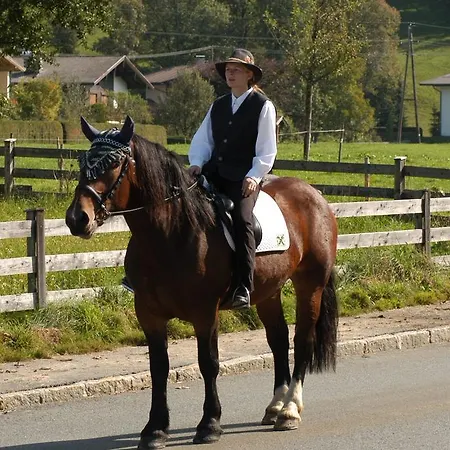 Alloggio per agriturismo Maurerhof